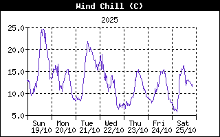 Wind Chill History